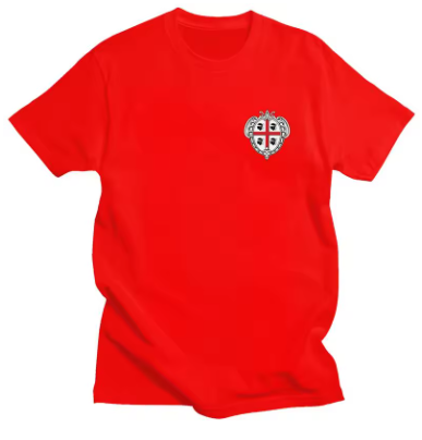 Camiseta Serdagna